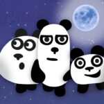 3 Panda 2. Gece