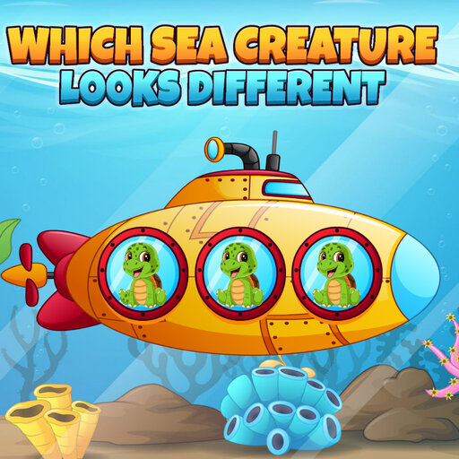 Hangi Deniz Canlısı Farklı Görünüyor?